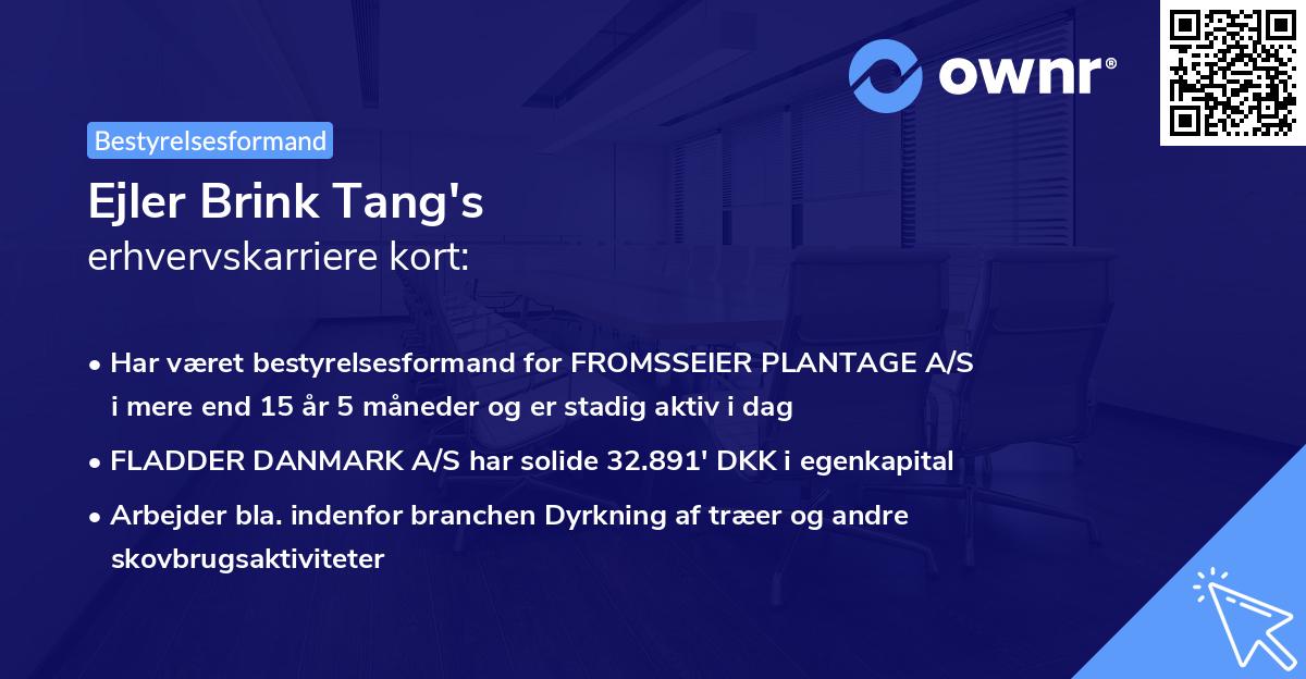 Ejler Brink Tang's erhvervskarriere kort