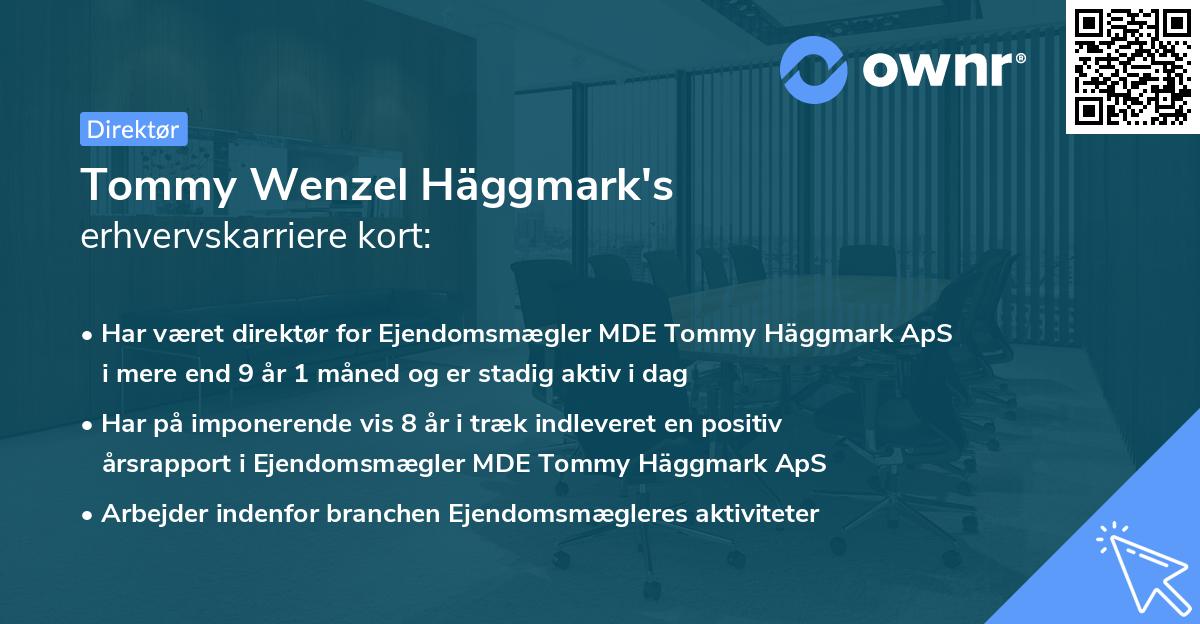 Tommy Wenzel Häggmark's erhvervskarriere kort