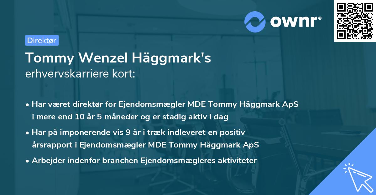 Tommy Wenzel Häggmark's erhvervskarriere kort
