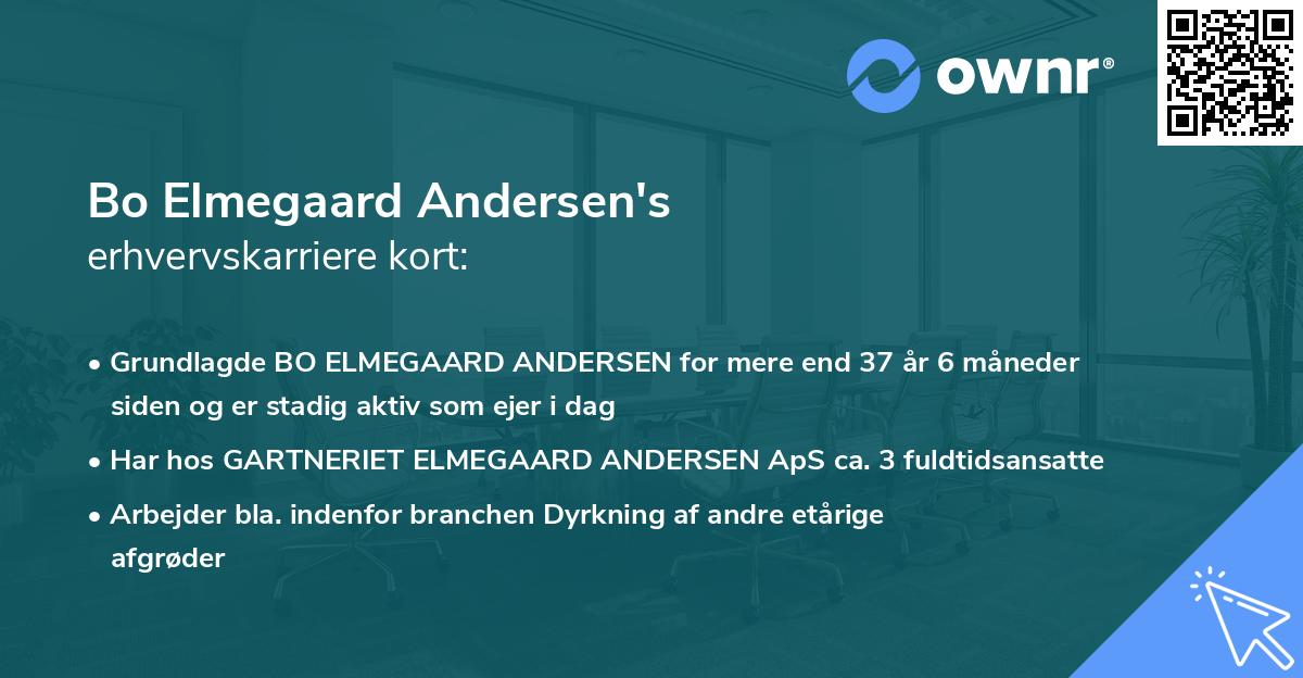 Bo Elmegaard Andersen's erhvervskarriere kort