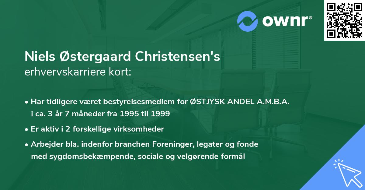 Niels Østergaard Christensen's erhvervskarriere kort