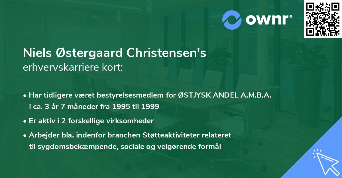 Niels Østergaard Christensen's erhvervskarriere kort