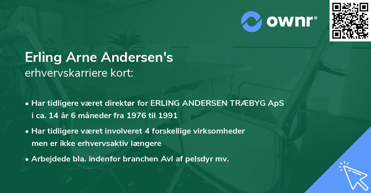 Erling Arne Andersen's erhvervskarriere kort