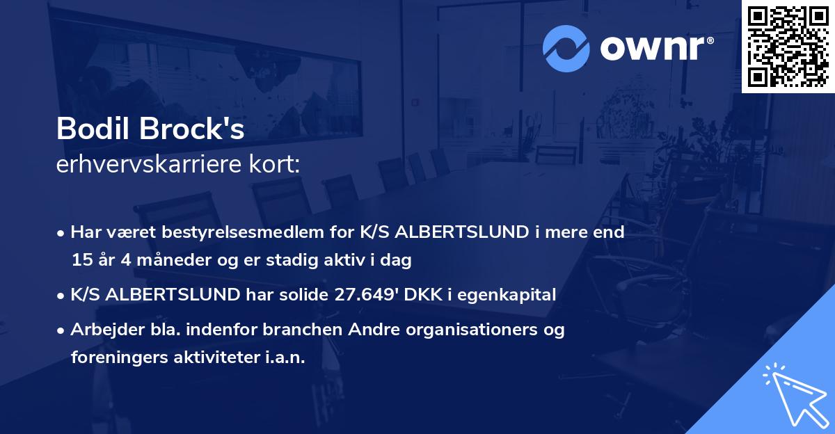 Bodil Brock's erhvervskarriere kort