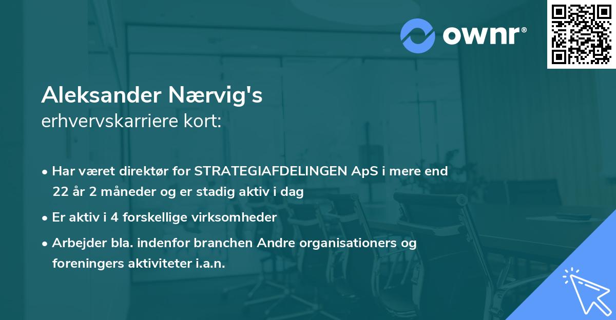 Aleksander Nærvig's erhvervskarriere kort