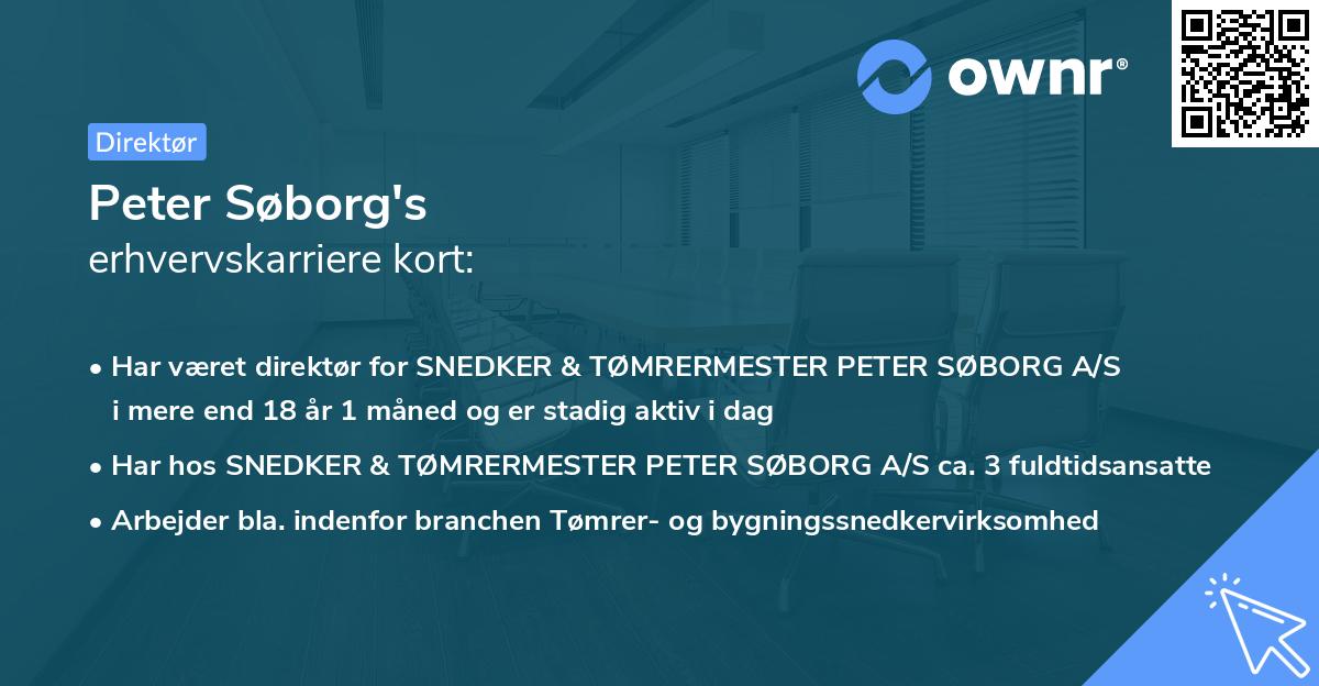 Peter Søborg's erhvervskarriere kort