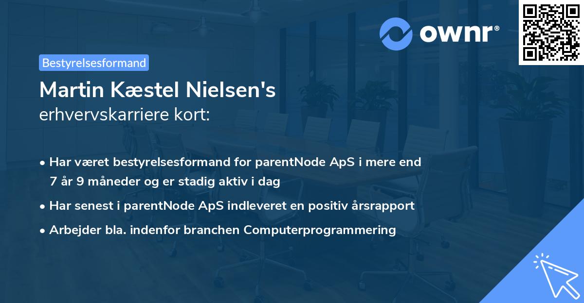 Martin Kæstel Nielsen's erhvervskarriere kort