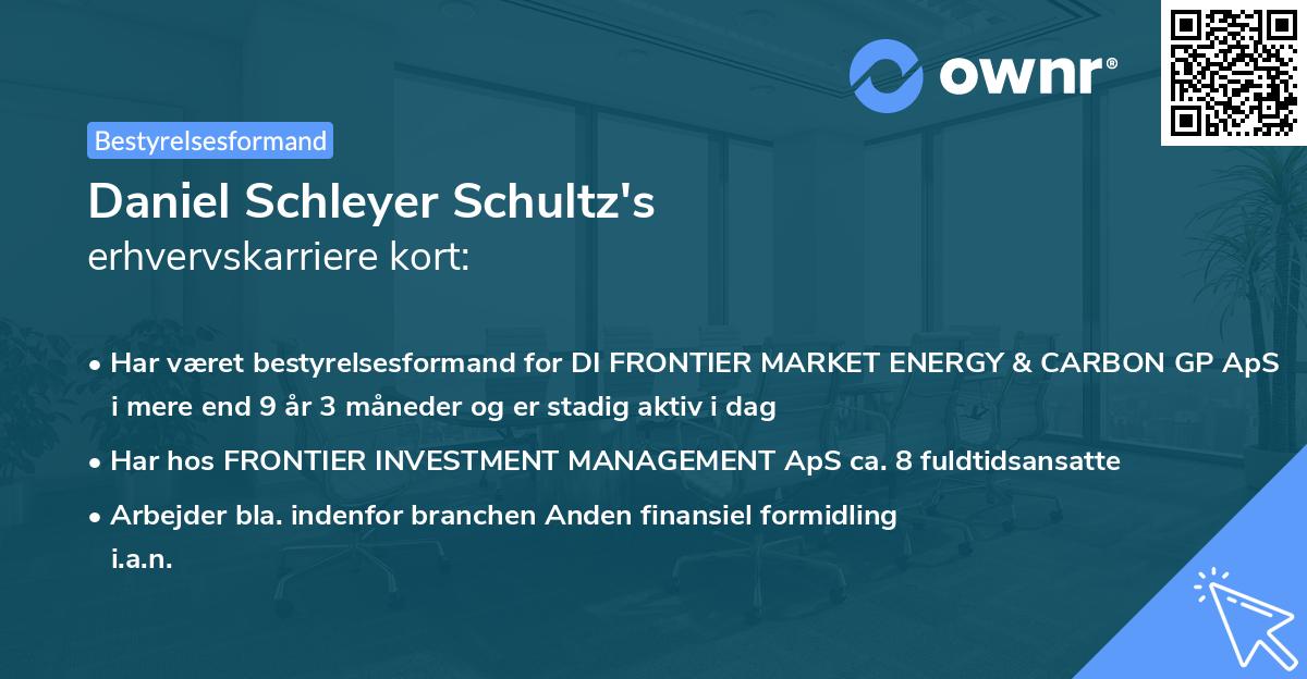 Daniel Schleyer Schultz's erhvervskarriere kort