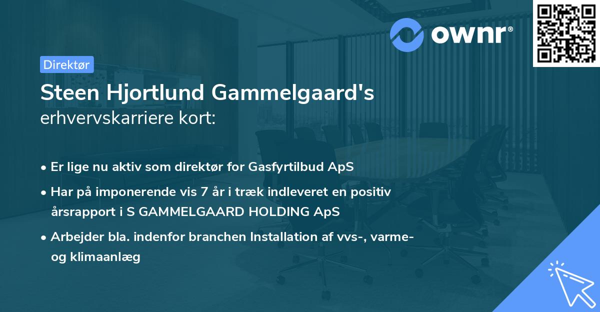 Steen Hjortlund Gammelgaard's erhvervskarriere kort