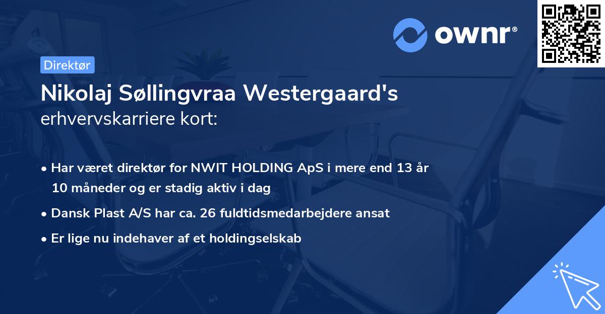 Nikolaj Søllingvraa Westergaard's erhvervskarriere kort