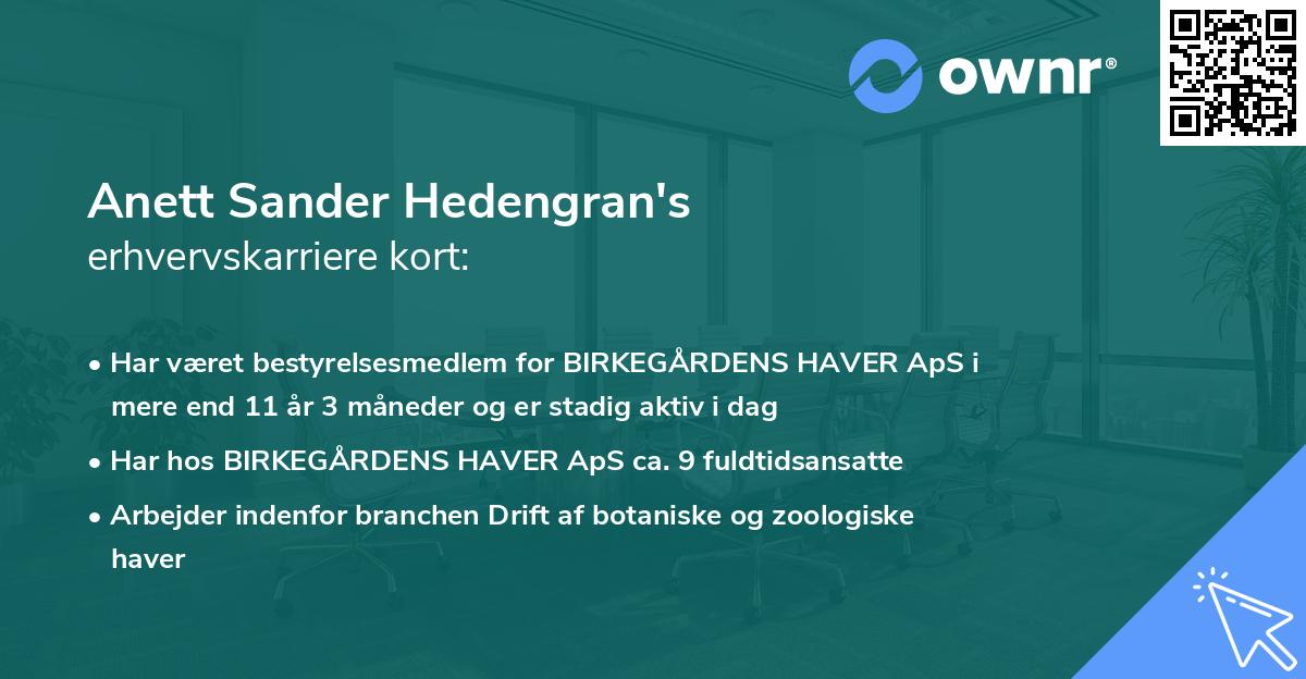 Anett Sander Hedengran's erhvervskarriere kort