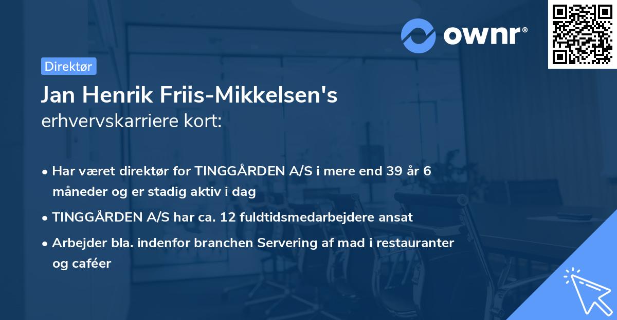 Jan Henrik Friis-Mikkelsen's erhvervskarriere kort