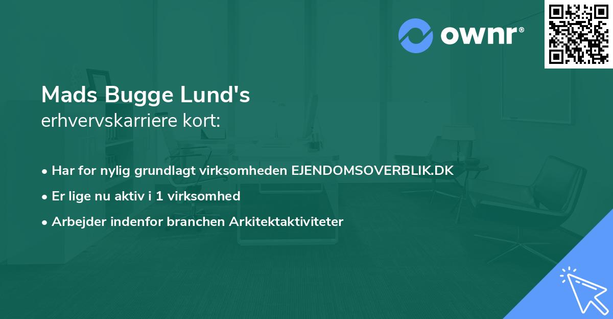 Mads Bugge Lund's erhvervskarriere kort