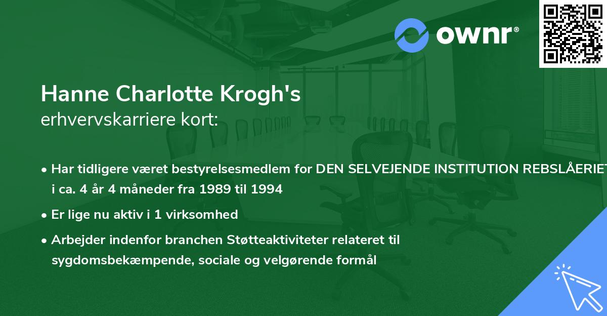 Hanne Charlotte Krogh's erhvervskarriere kort