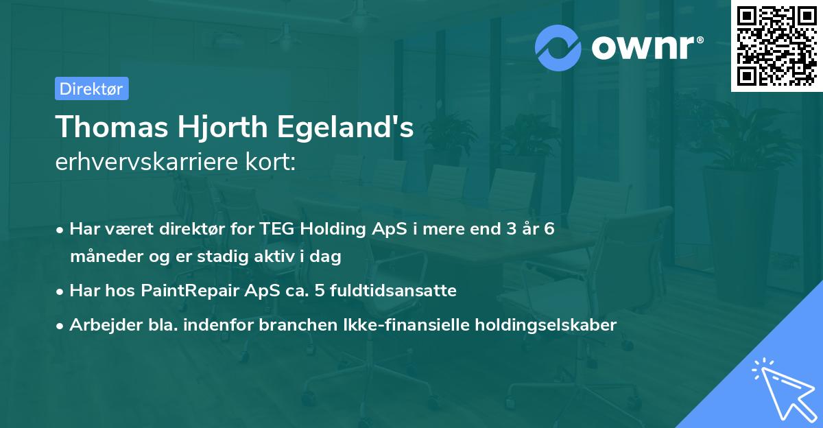 Thomas Hjorth Egeland's erhvervskarriere kort