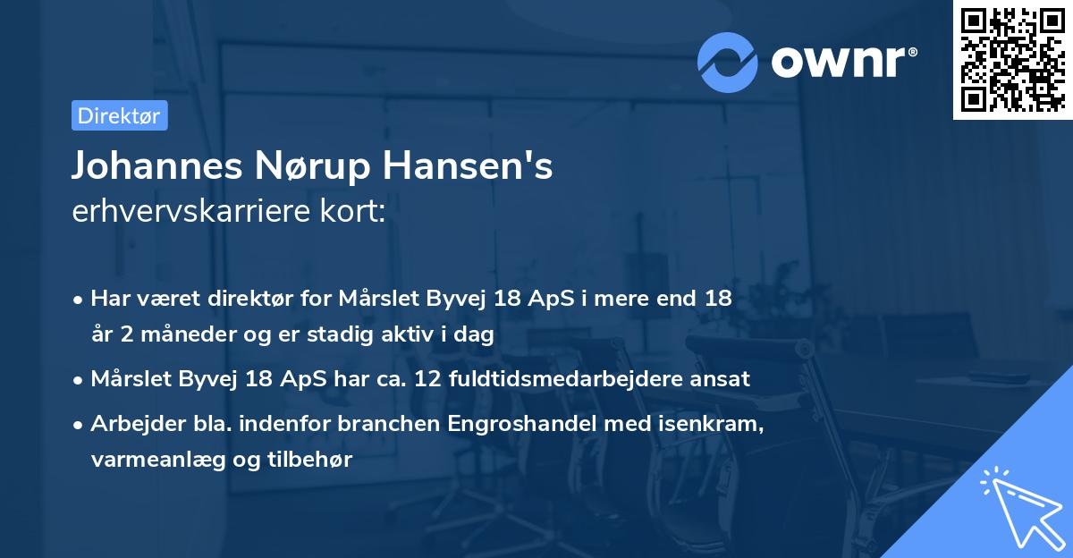 Johannes Nørup Hansen's erhvervskarriere kort