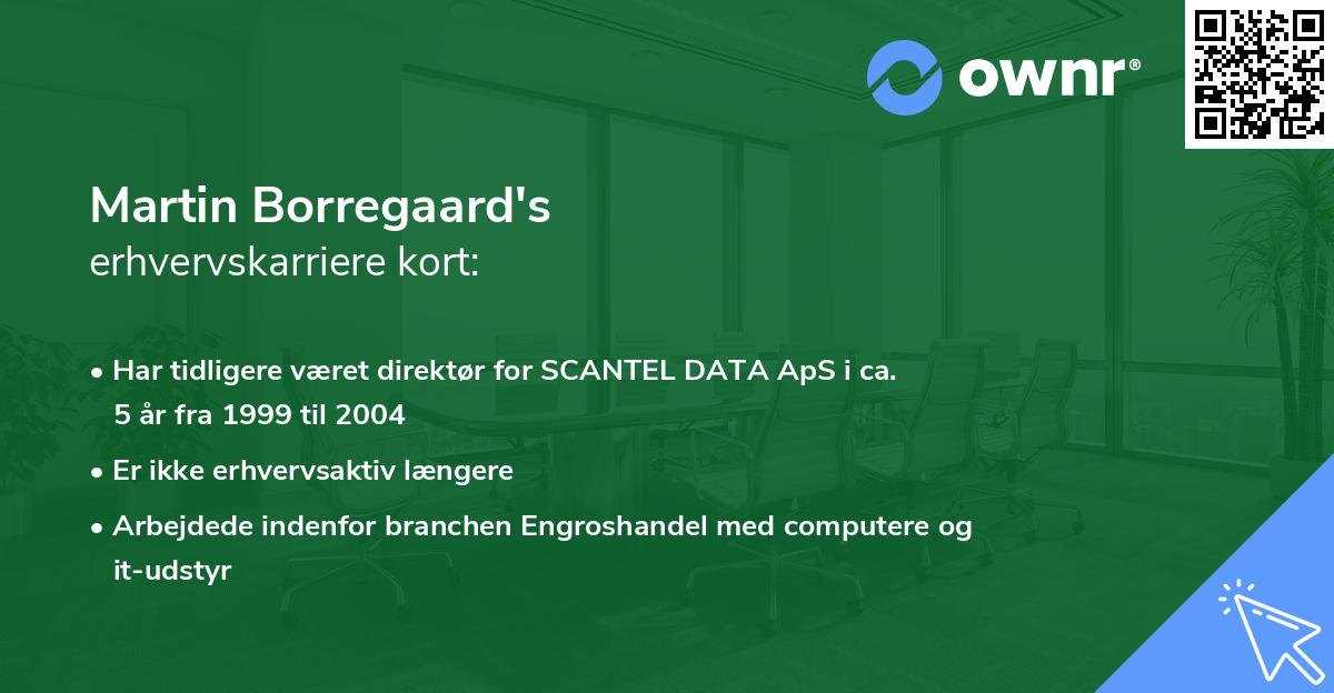 Martin Borregaard's erhvervskarriere kort