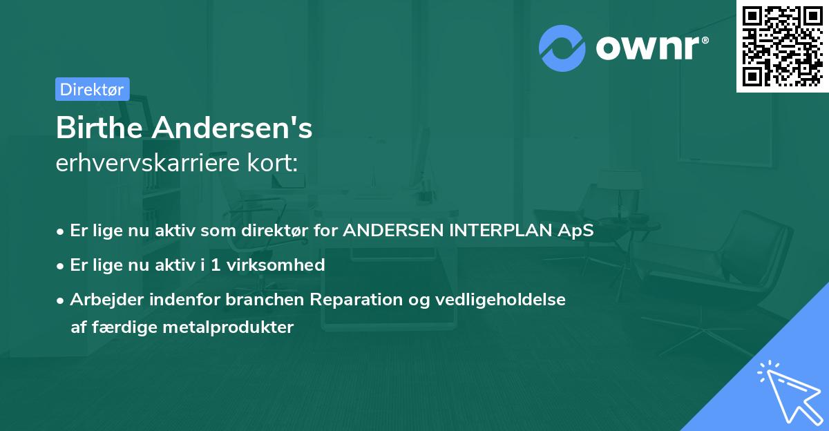Birthe Andersen's erhvervskarriere kort