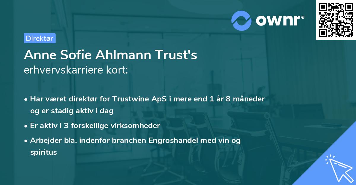 Anne Sofie Ahlmann Trust's erhvervskarriere kort