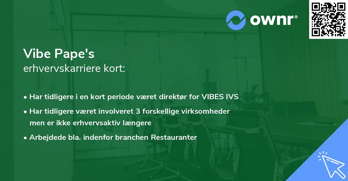 Vibe Pape's erhvervskarriere kort