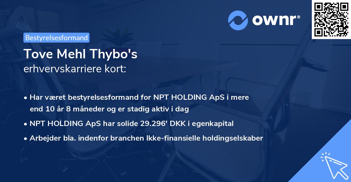 Tove Mehl Thybo's erhvervskarriere kort