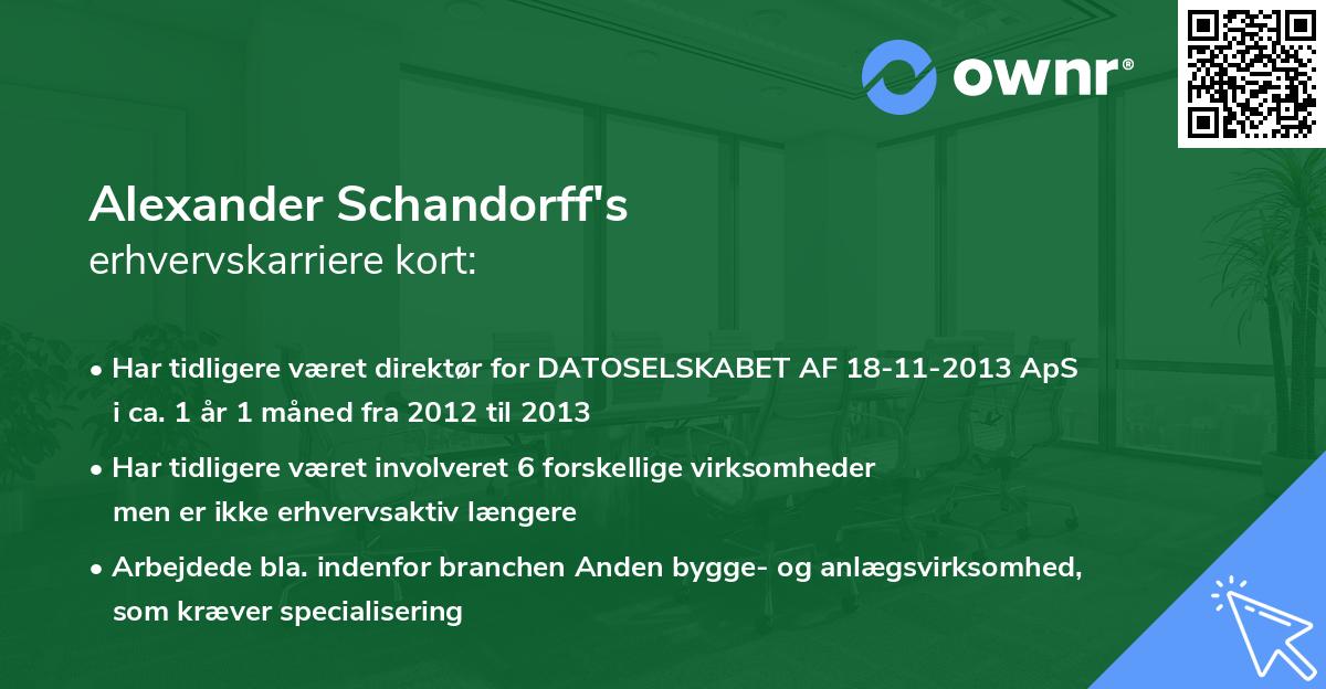 Alexander Schandorff's erhvervskarriere kort