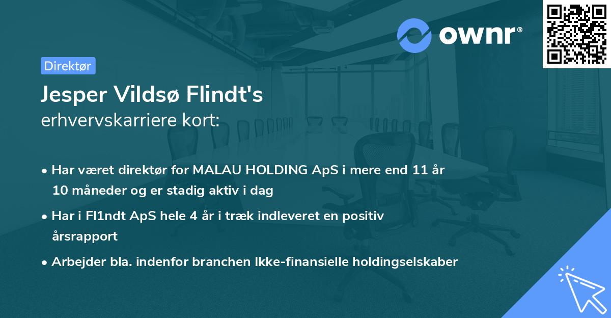 Jesper Vildsø Flindt's erhvervskarriere kort