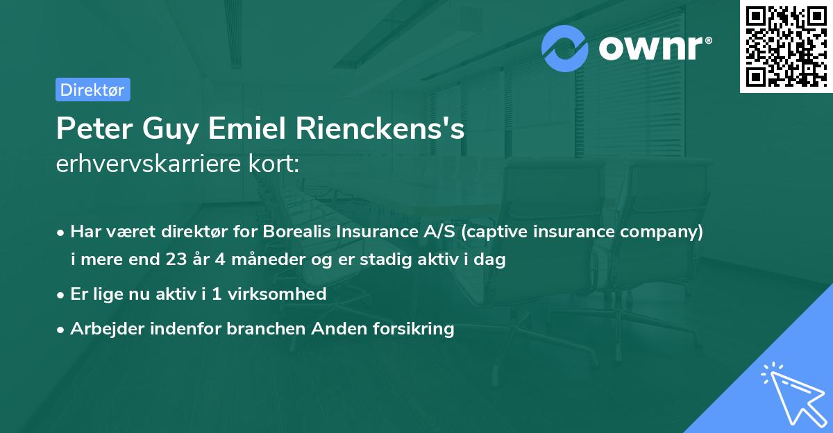 Peter Guy Emiel Rienckens's erhvervskarriere kort