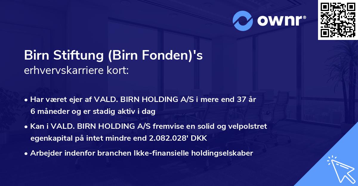 Birn Stiftung (Birn Fonden)'s erhvervskarriere kort