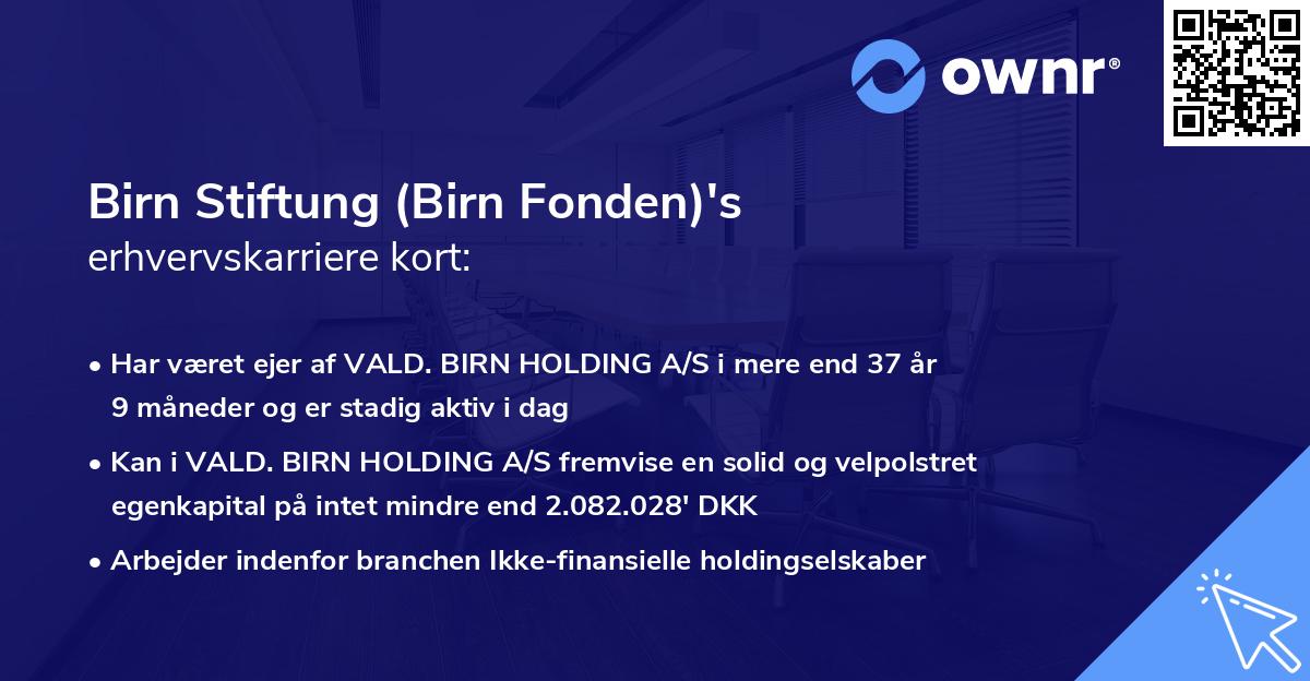 Birn Stiftung (Birn Fonden)'s erhvervskarriere kort