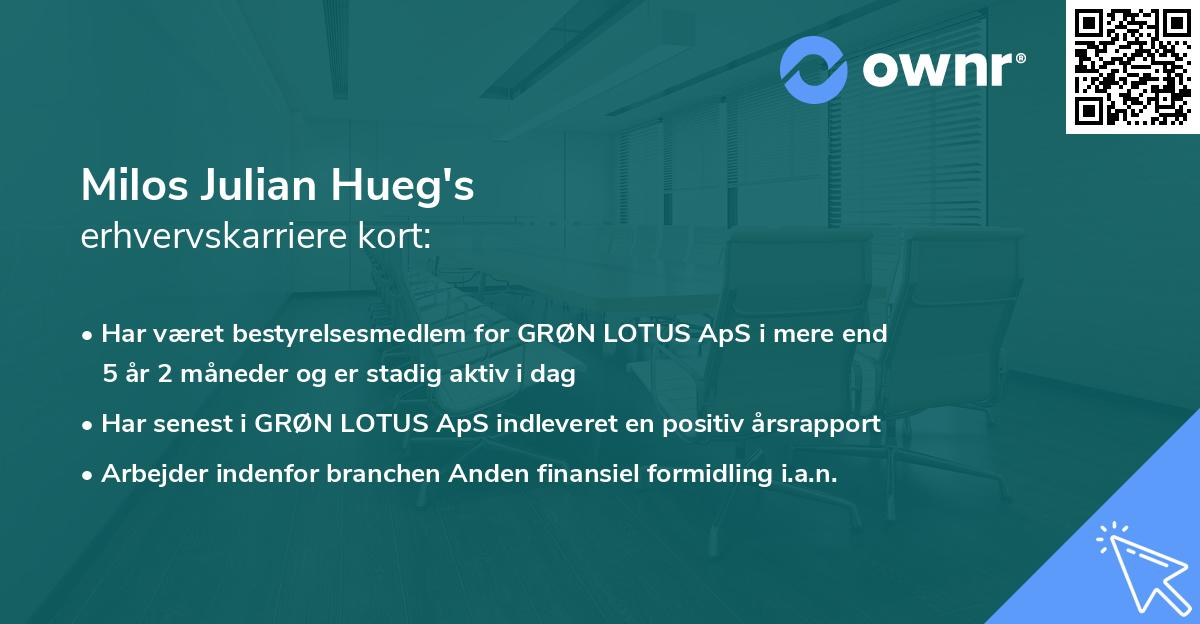 Milos Julian Hueg's erhvervskarriere kort