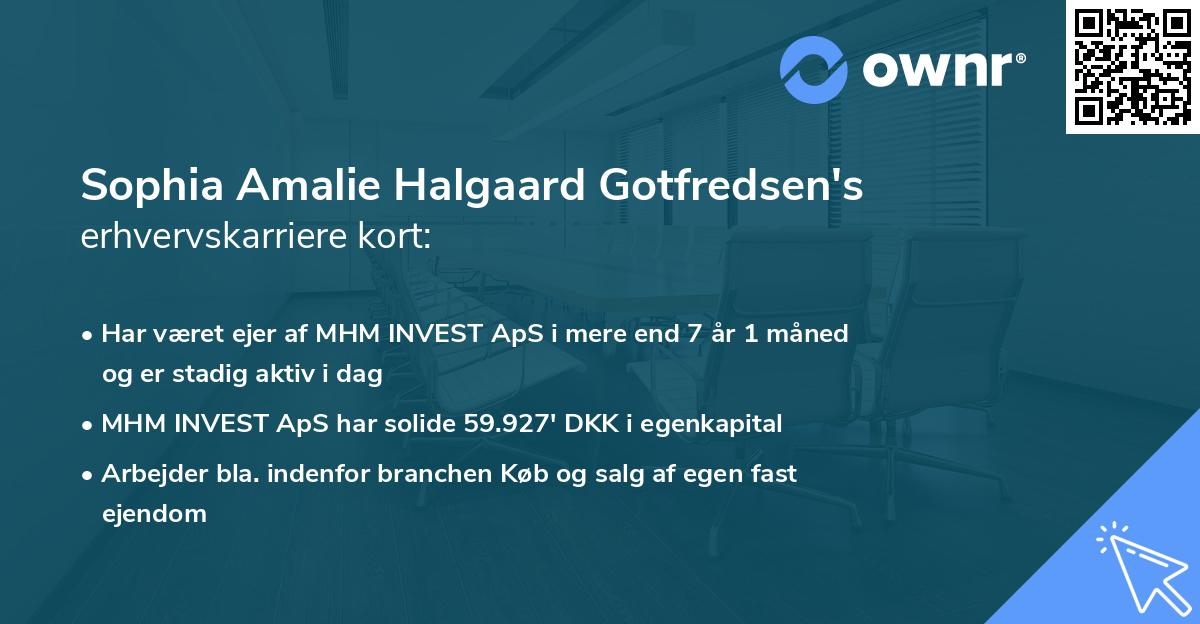 Sophia Amalie Halgaard Gotfredsen's erhvervskarriere kort