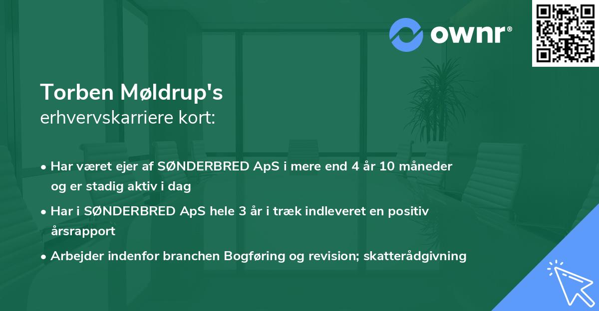 Torben Møldrup's erhvervskarriere kort