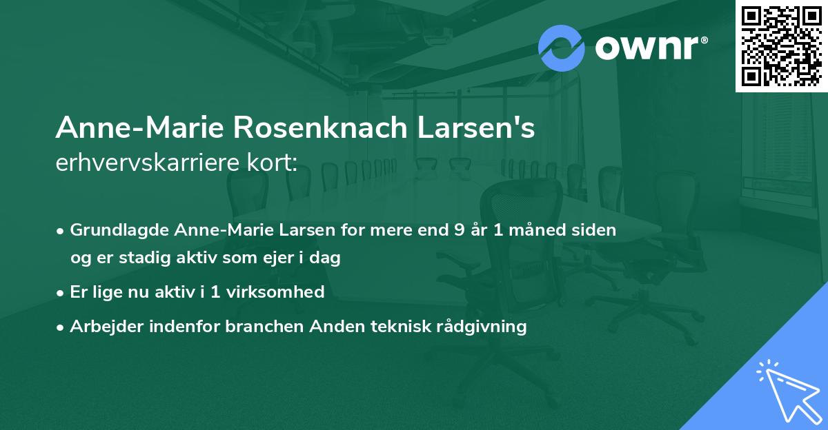 Anne-Marie Rosenknach Larsen's erhvervskarriere kort