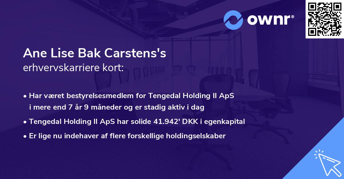 Ane Lise Bak Carstens's erhvervskarriere kort