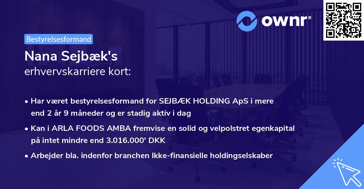 Nana Sejbæk's erhvervskarriere kort