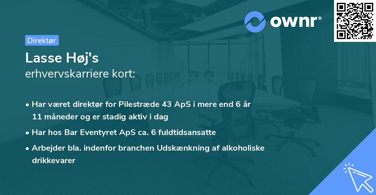 Lasse Høj's erhvervskarriere kort