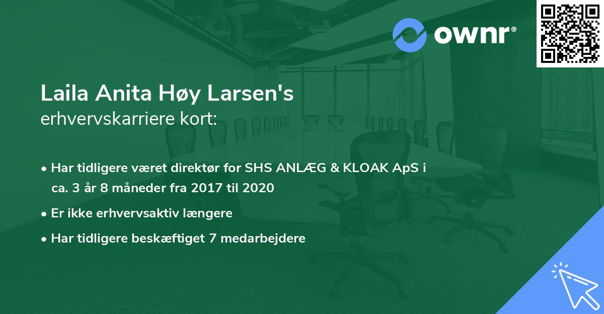 Laila Anita Høy Larsen's erhvervskarriere kort