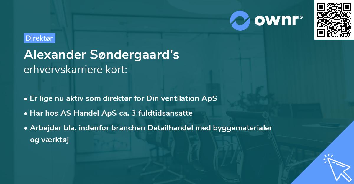 Alexander Søndergaard's erhvervskarriere kort