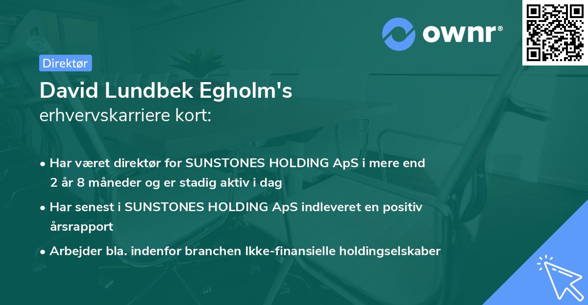 David Lundbek Egholm's erhvervskarriere kort