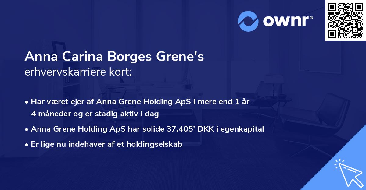 Anna Carina Borges Grene's erhvervskarriere kort