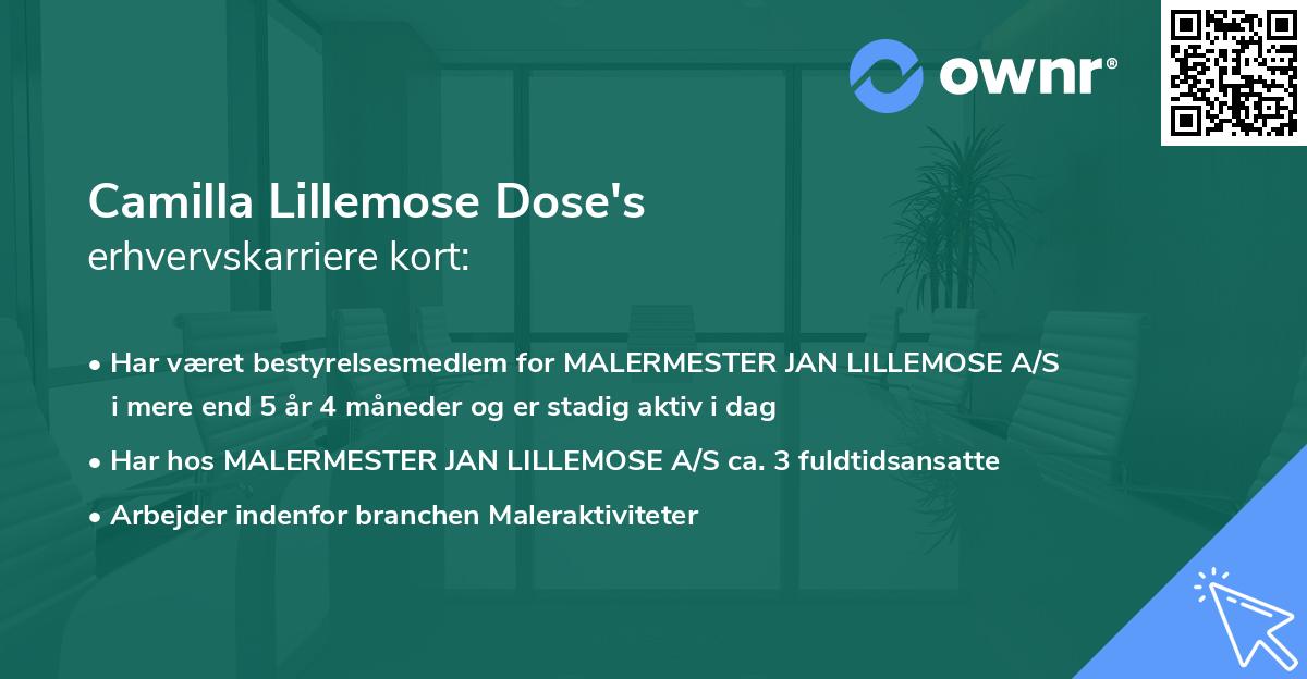 Camilla Lillemose Dose's erhvervskarriere kort