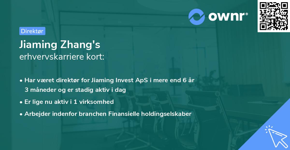 Jiaming Zhang's erhvervskarriere kort