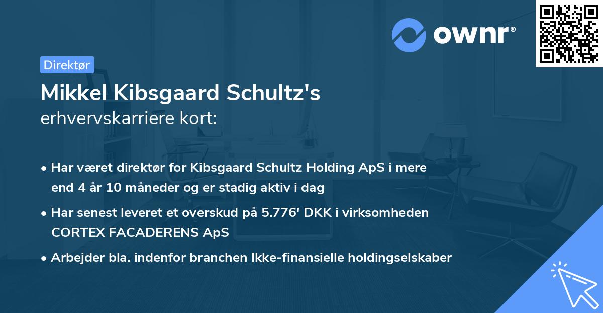 Mikkel Kibsgaard Schultz's erhvervskarriere kort