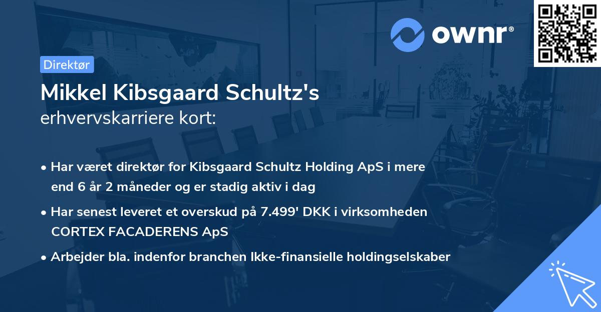 Mikkel Kibsgaard Schultz's erhvervskarriere kort