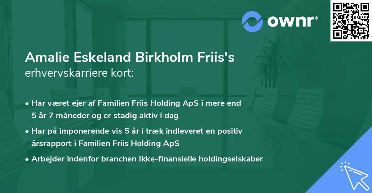 Amalie Eskeland Birkholm Friis's erhvervskarriere kort