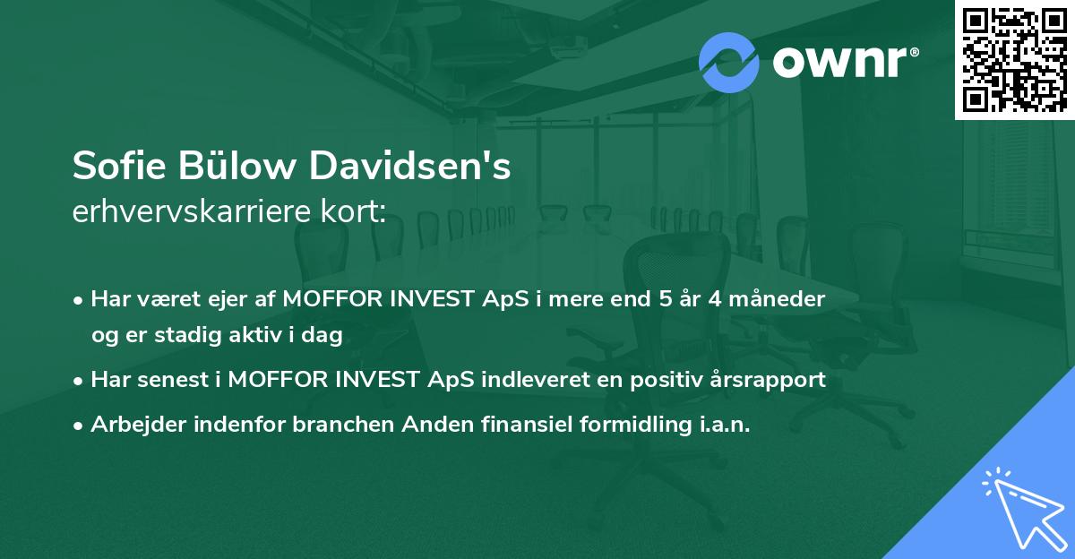 Sofie Bülow Davidsen's erhvervskarriere kort