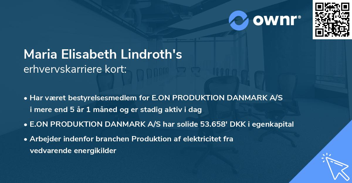 Maria Elisabeth Lindroth's erhvervskarriere kort