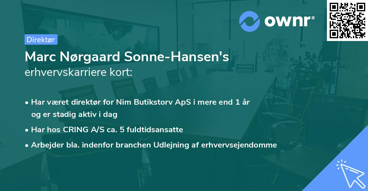 Marc Nørgaard Sonne-Hansen's erhvervskarriere kort