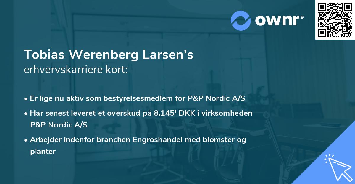 Tobias Werenberg Larsen's erhvervskarriere kort